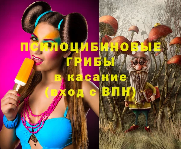 стаф Абинск