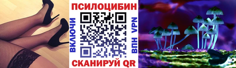 Псилоцибиновые грибы прущие грибы закладки Зеленогорск