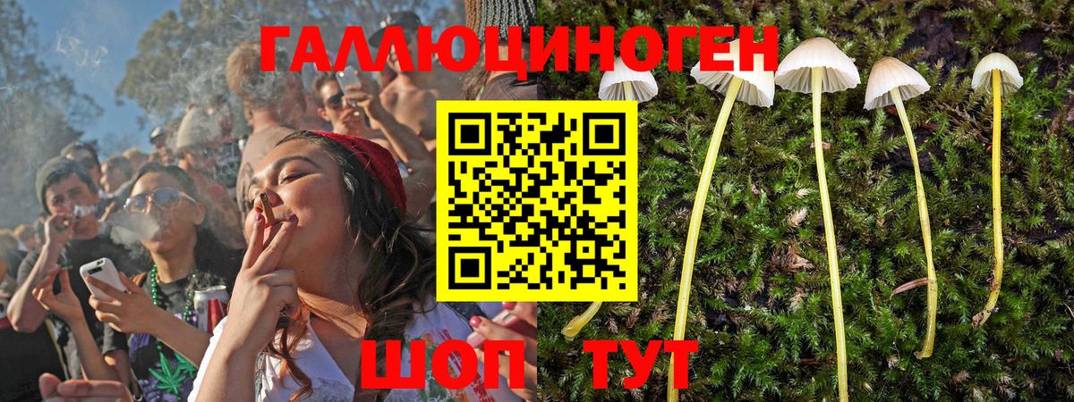 Галлюциногенные грибы MAGIC MUSHROOMS  Вход с VPN  Зеленогорск 