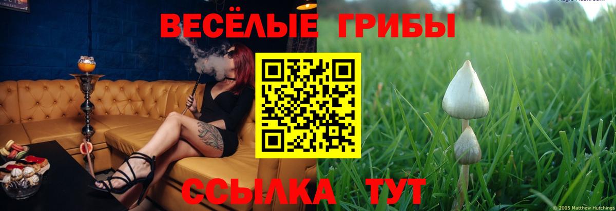 Псилоцибиновые грибы MAGIC MUSHROOMS Зеленогорск