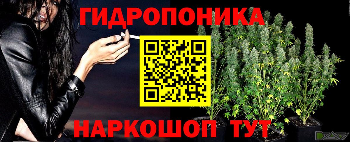 Марихуана конопля Зеленогорск